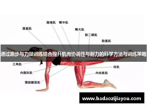 通过跑步与力量训练结合提升肌肉协调性与耐力的科学方法与训练策略