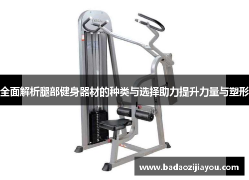 全面解析腿部健身器材的种类与选择助力提升力量与塑形