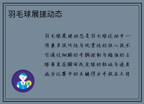 羽毛球展搓动态